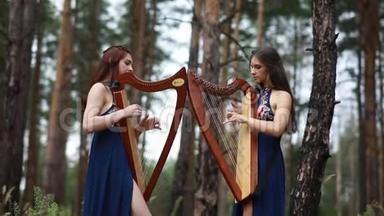 两个女<strong>竖琴演奏</strong>者站在森林里<strong>演奏竖琴</strong>。